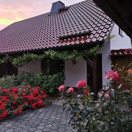 Ferienhaus Rosenhof Glaubitz Bagian luar foto