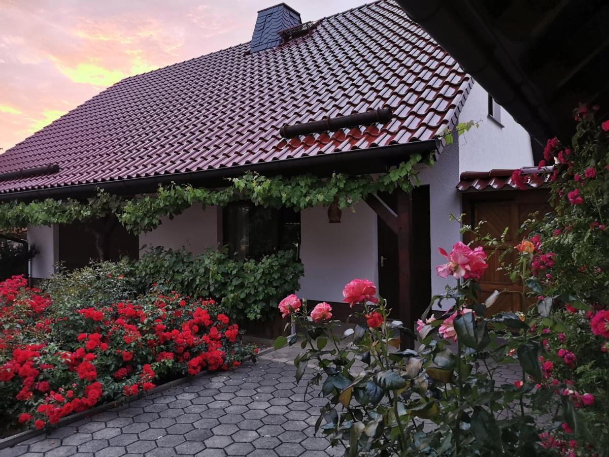 Ferienhaus Rosenhof Glaubitz Bagian luar foto