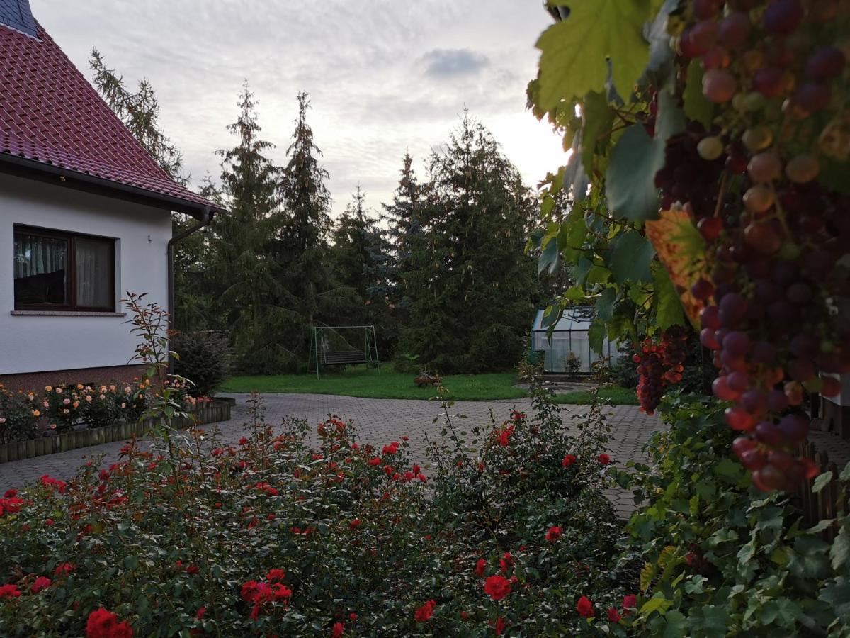 Ferienhaus Rosenhof Glaubitz Bagian luar foto