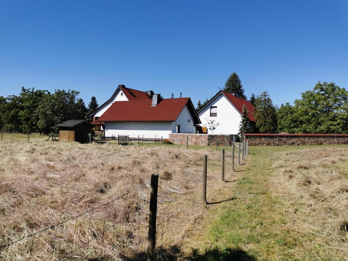 Ferienhaus Rosenhof Glaubitz Bagian luar foto
