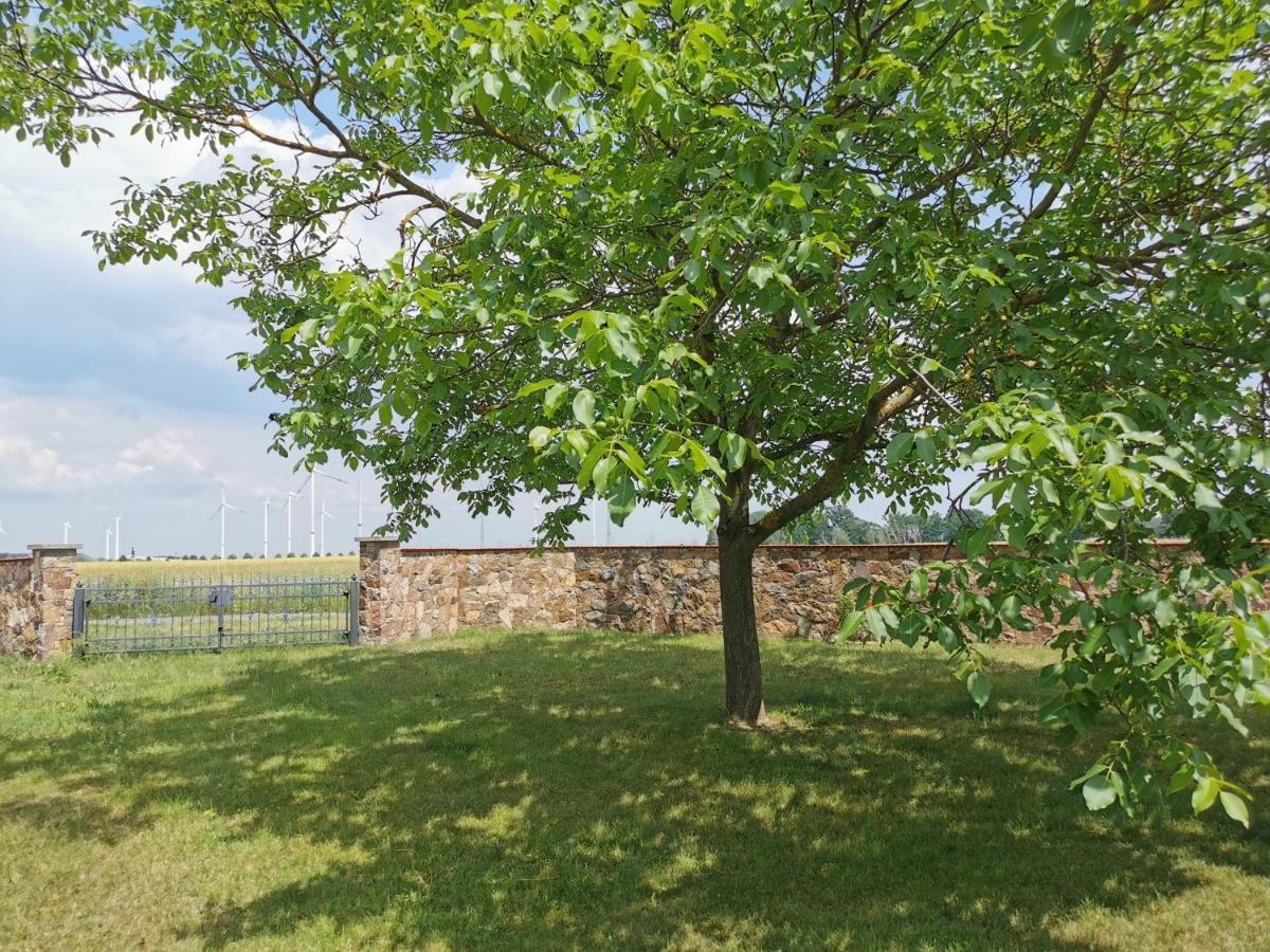 Ferienhaus Rosenhof Glaubitz Bagian luar foto