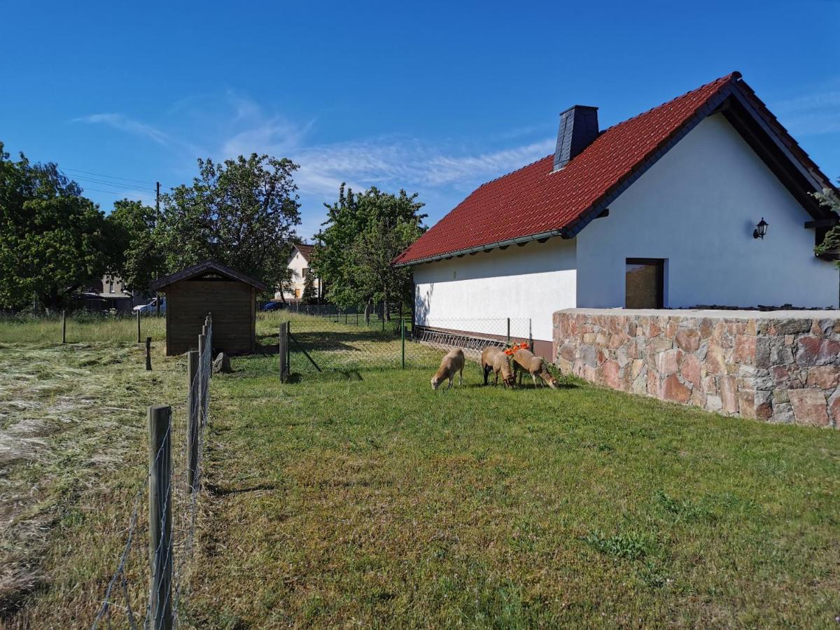 Ferienhaus Rosenhof Glaubitz Bagian luar foto